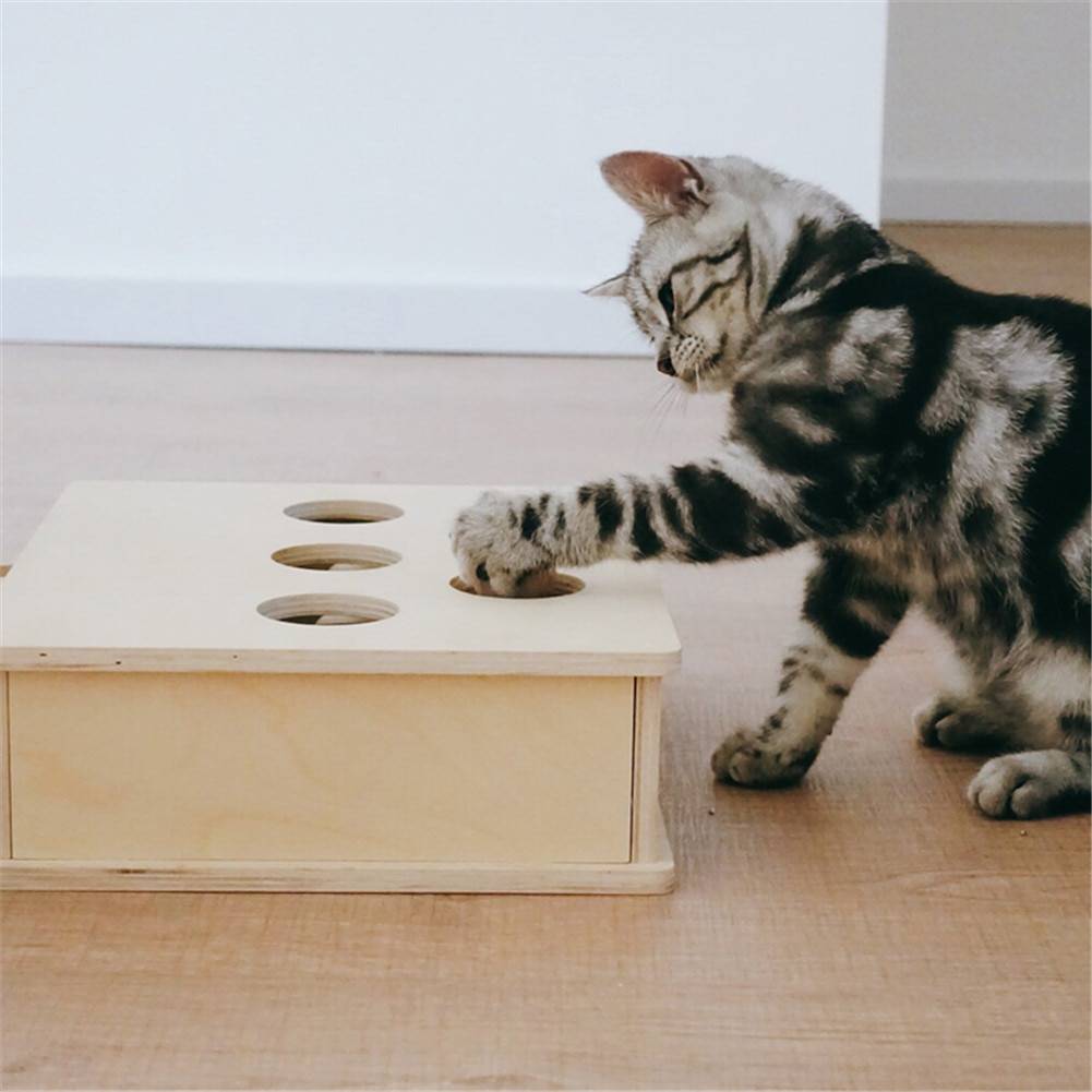 Interactive Wooden Cat Popping Toy