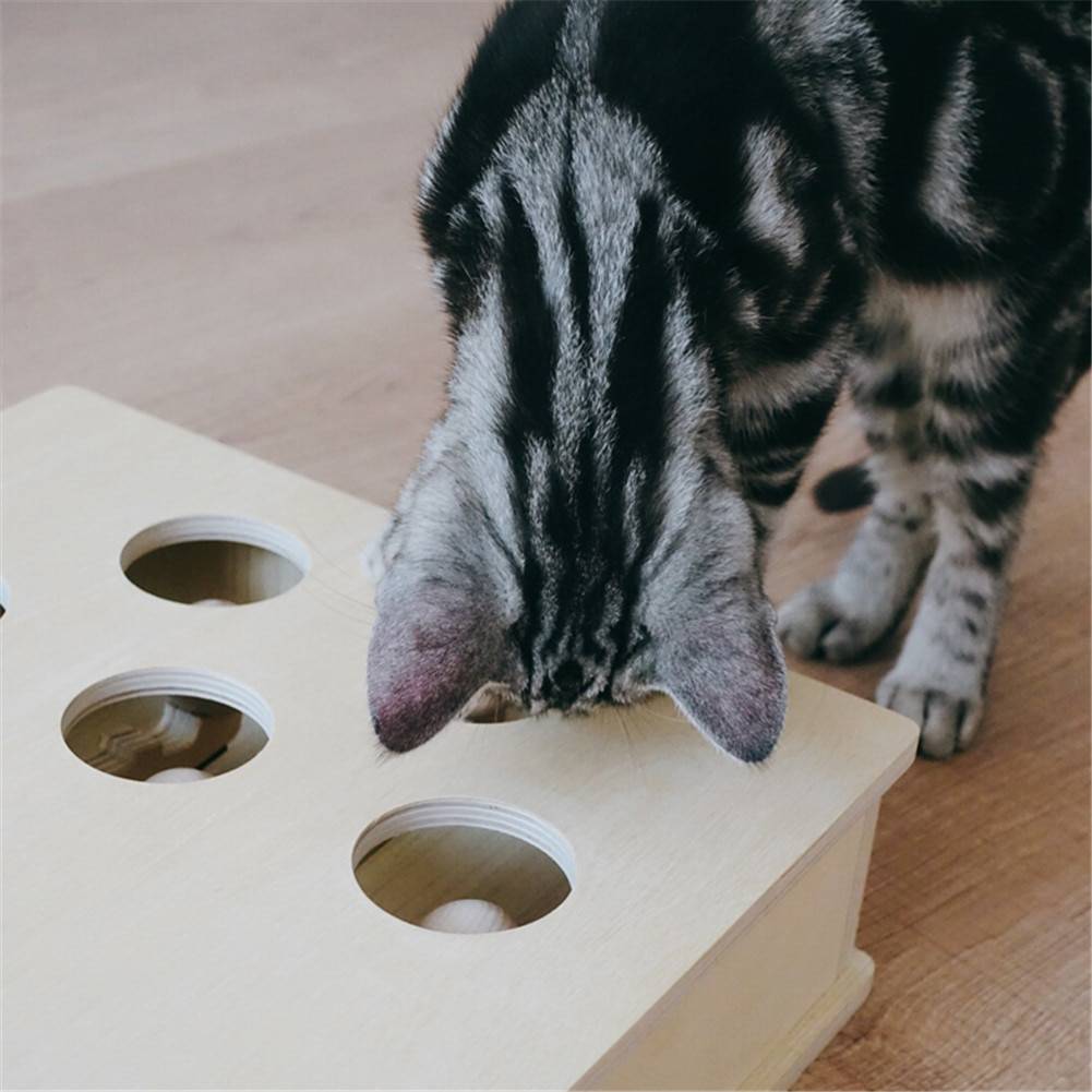 Interactive Wooden Cat Popping Toy