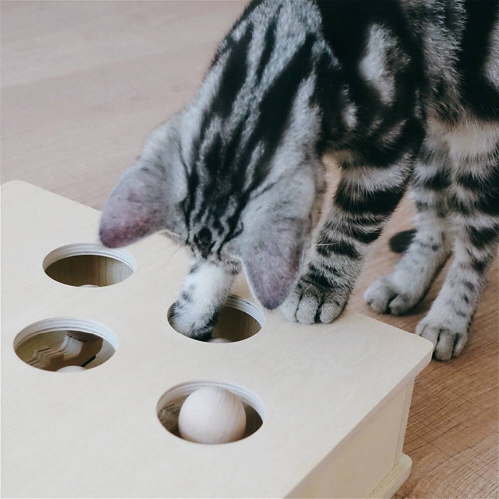 Interactive Wooden Cat Popping Toy