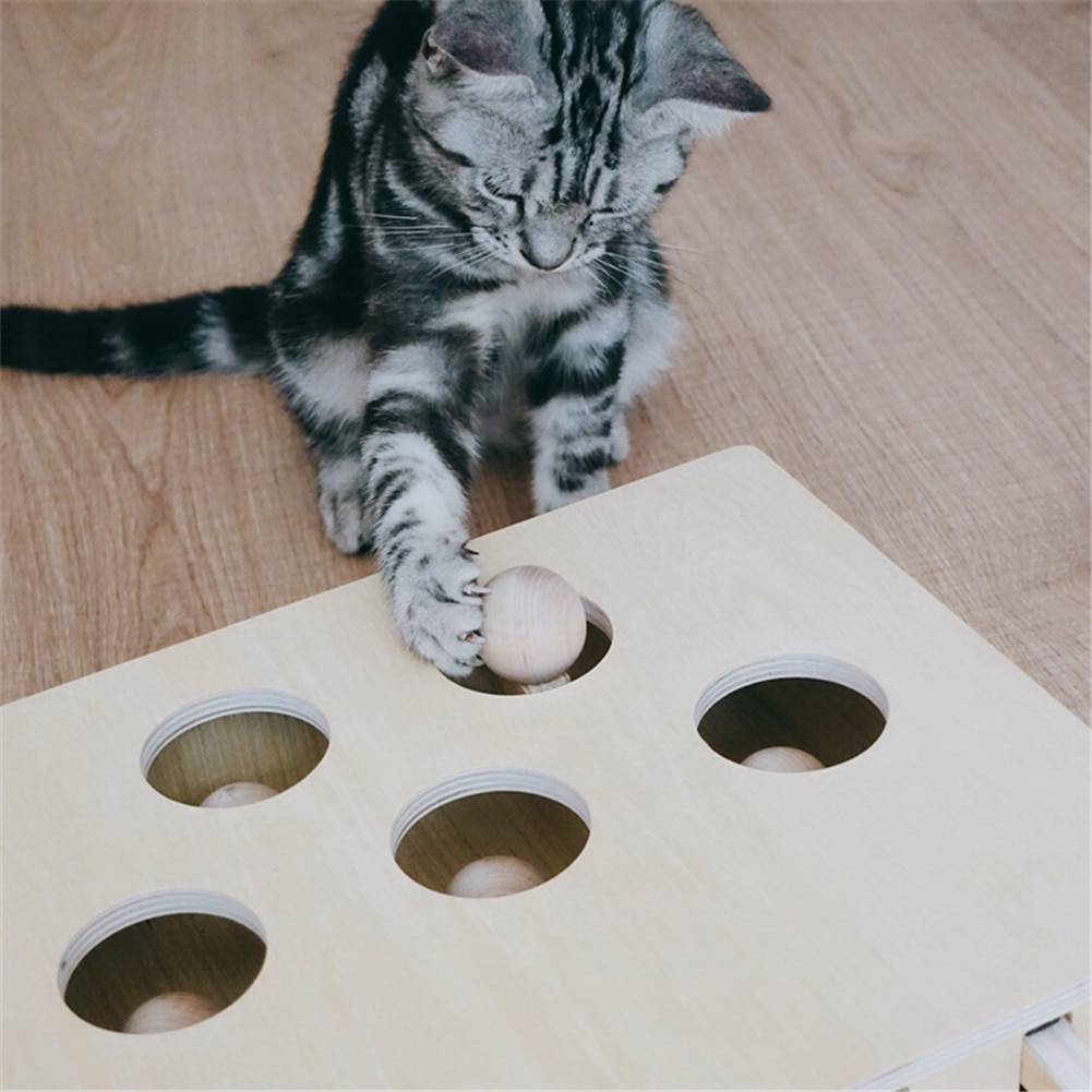 Interactive Wooden Cat Popping Toy