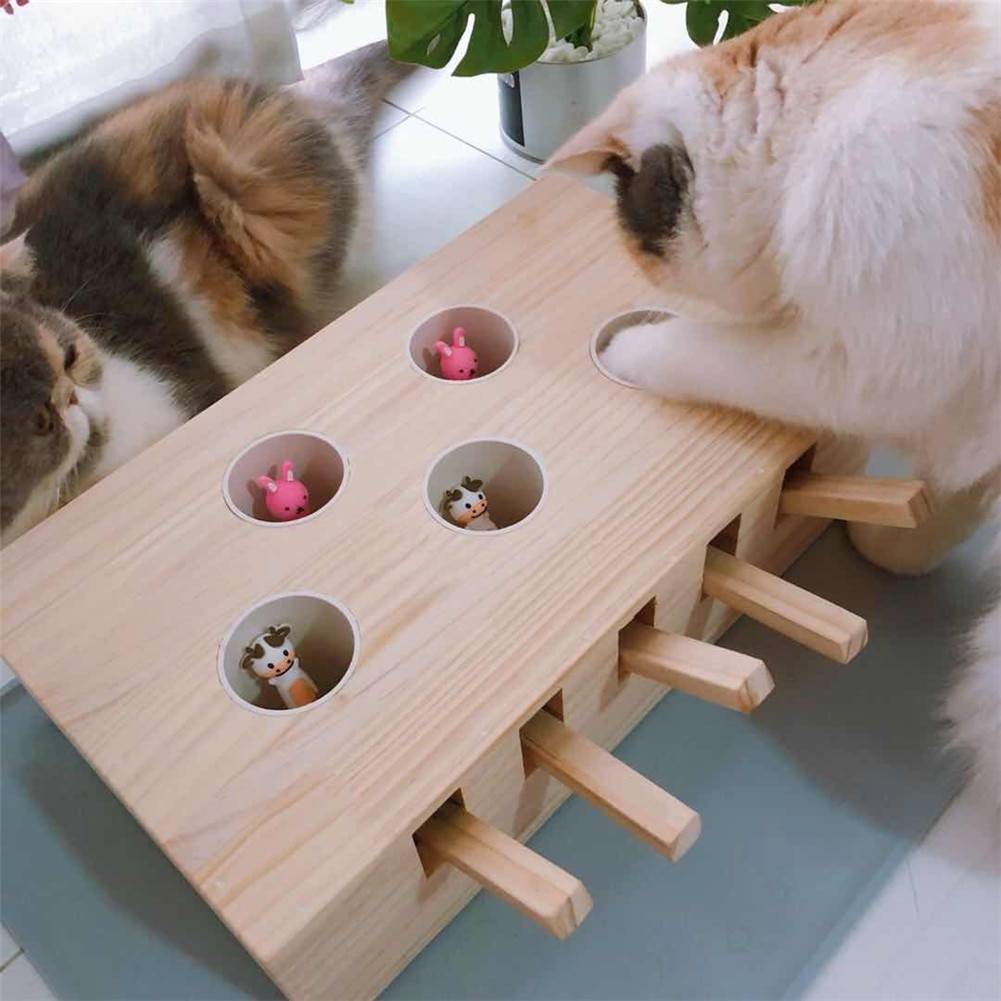 Interactive Wooden Cat Popping Toy